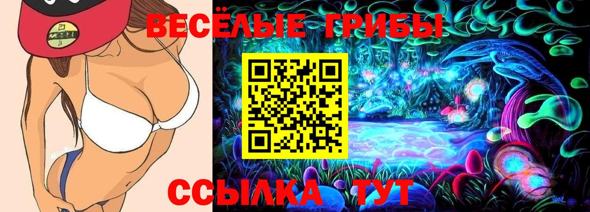 Томск  Псилоцибиновые грибы прущие грибы  Вход с VPN 